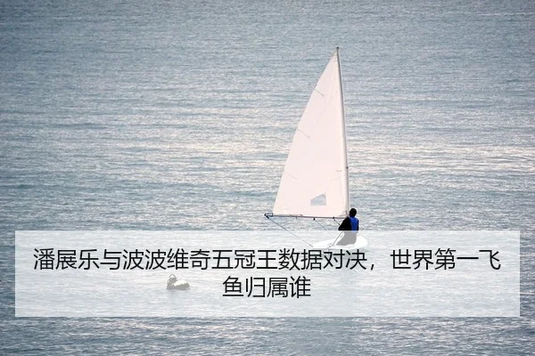 潘展乐与波波维奇五冠王数据对决，世界第一飞鱼归属谁